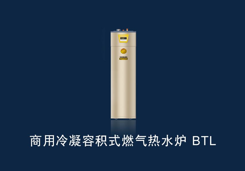 ݷeʽȼˮtBTL